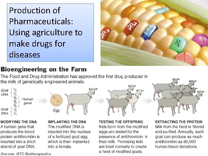 Production of Pharmaceuticals: Using agriculture to make drugs for diseases 