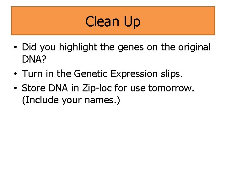 Clean Up • Did you highlight the genes on the original DNA? • Turn