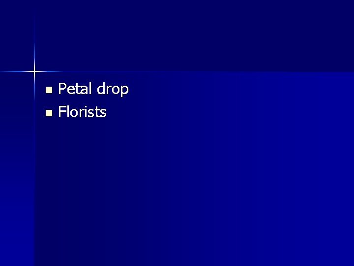 Petal drop n Florists n 