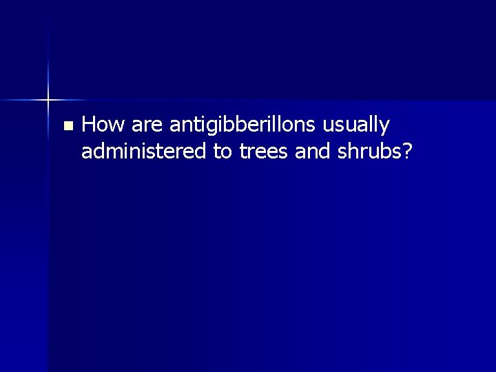 n How are antigibberillons usually administered to trees and shrubs? 