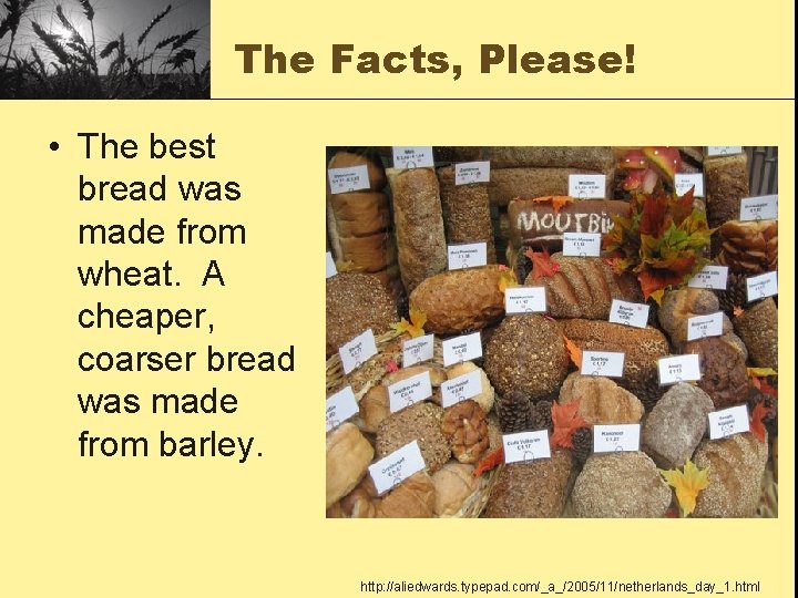 The Facts, Please! • The best bread was made from wheat. A cheaper, coarser