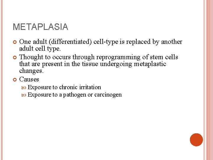 METAPLASIA One adult (differentiated) cell-type is replaced by another adult cell type. Thought to