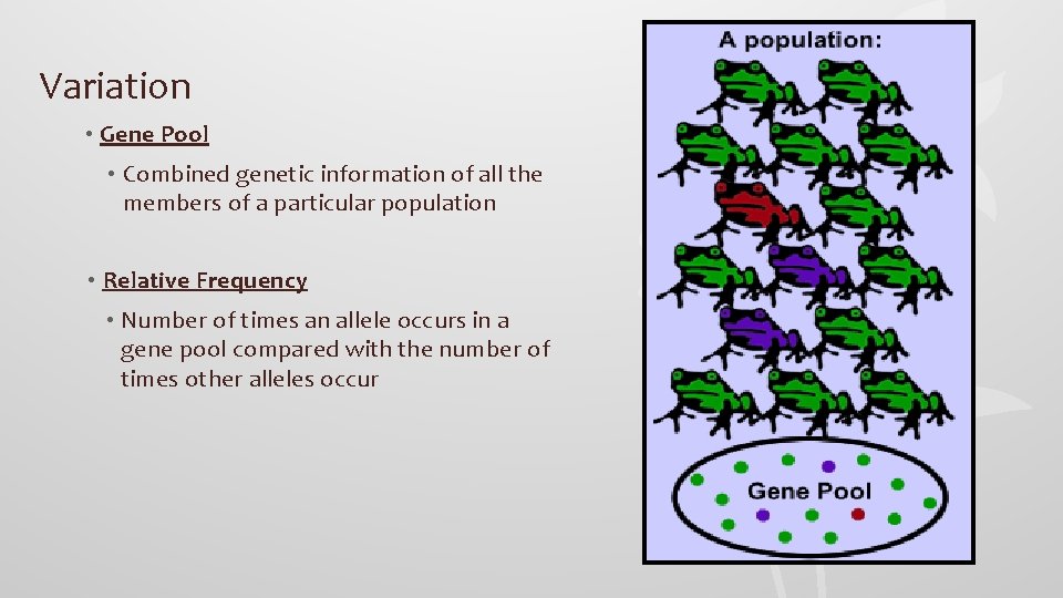 Variation • Gene Pool • Combined genetic information of all the members of a