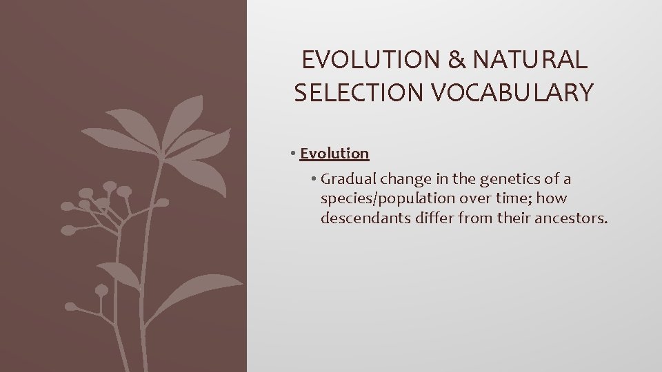 EVOLUTION & NATURAL SELECTION VOCABULARY • Evolution • Gradual change in the genetics of
