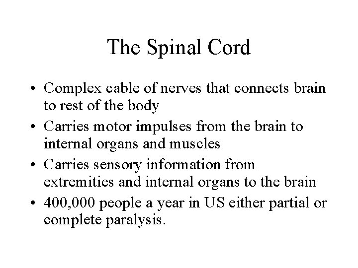 The Spinal Cord • Complex cable of nerves that connects brain to rest of