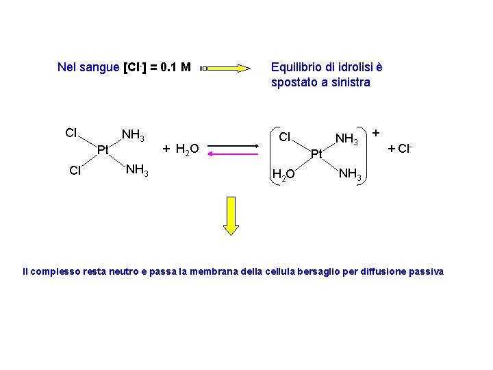 Nel sangue [Cl-] = 0. 1 M Cl Pt Cl NH 3 + H