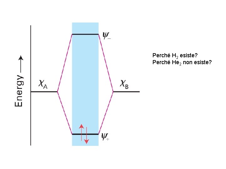 Perché H 2 esiste? Perché He 2 non esiste? 