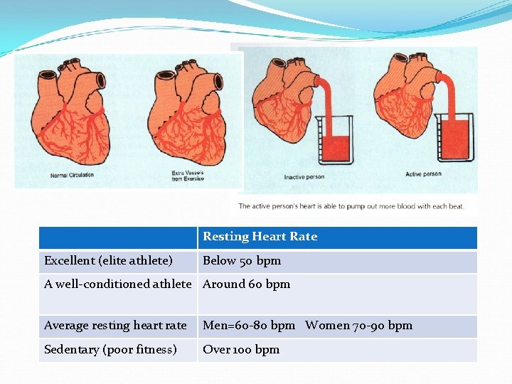 Your Heart is a Pump Resting Heart Rate Excellent (elite athlete) Below 50 bpm