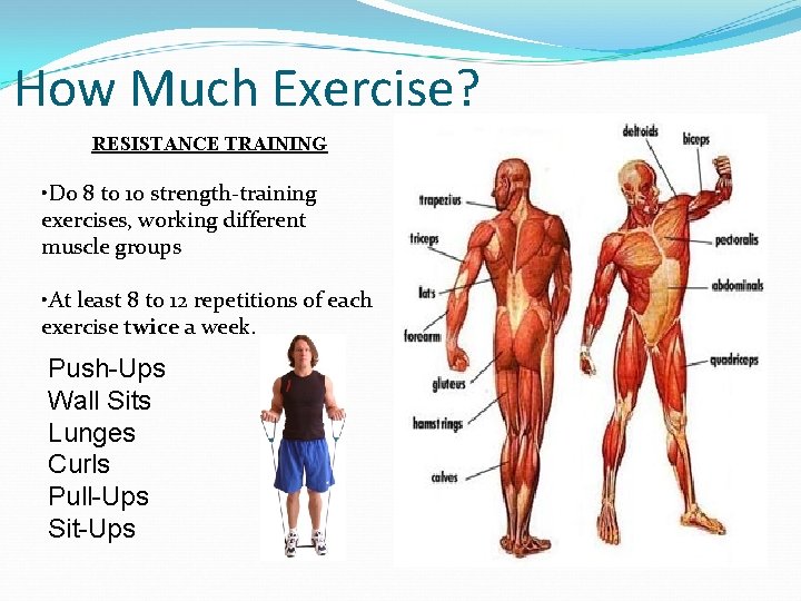 How Much Exercise? RESISTANCE TRAINING • Do 8 to 10 strength-training exercises, working different