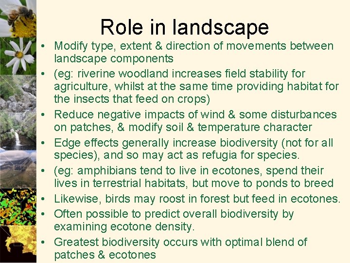 Role in landscape • Modify type, extent & direction of movements between landscape components