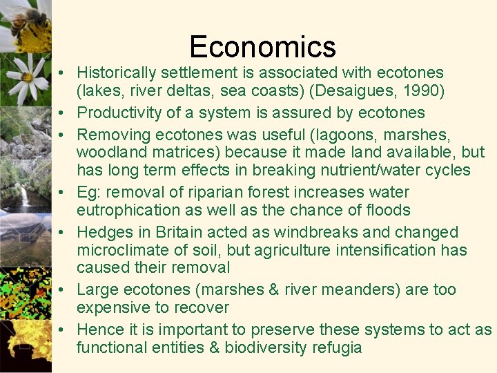 Economics • Historically settlement is associated with ecotones (lakes, river deltas, sea coasts) (Desaigues,