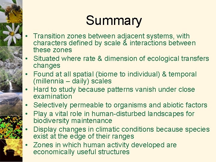 Summary • Transition zones between adjacent systems, with characters defined by scale & interactions