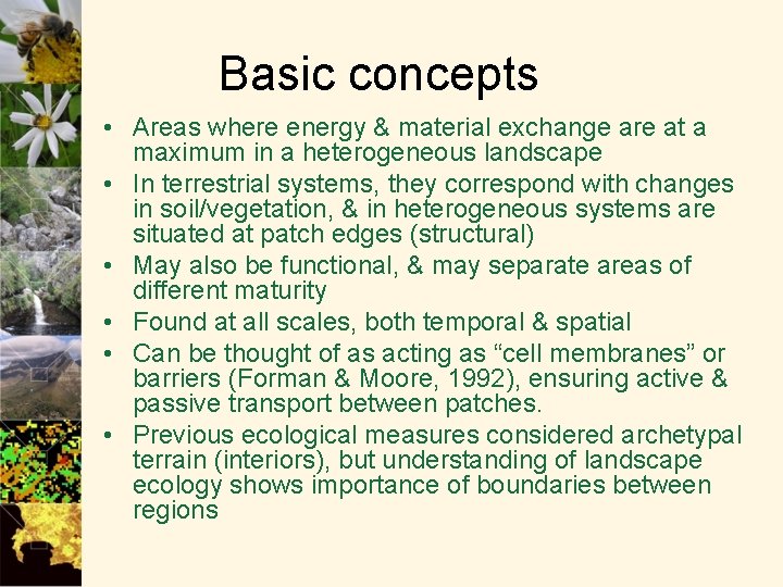 Basic concepts • Areas where energy & material exchange are at a maximum in