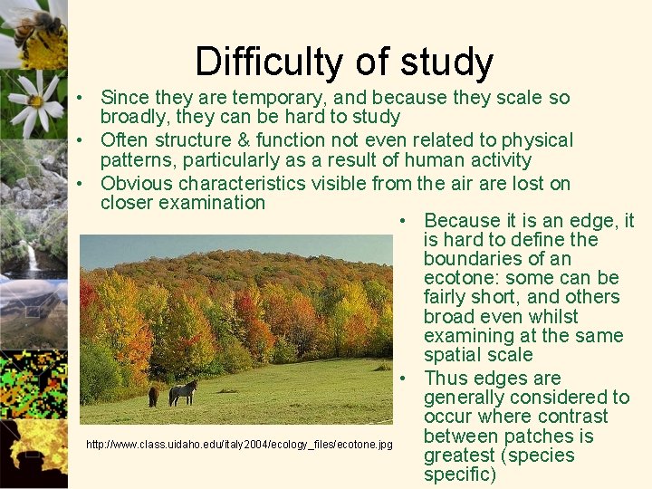 Difficulty of study • Since they are temporary, and because they scale so broadly,