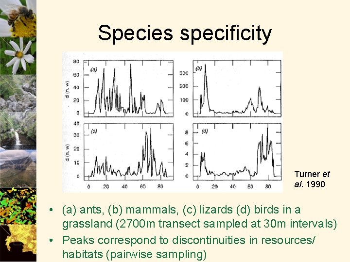 Species specificity Turner et al. 1990 • (a) ants, (b) mammals, (c) lizards (d)