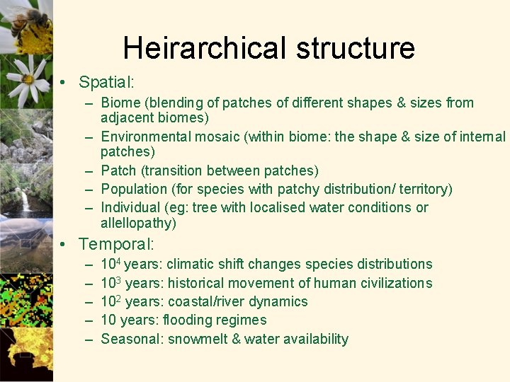 Heirarchical structure • Spatial: – Biome (blending of patches of different shapes & sizes