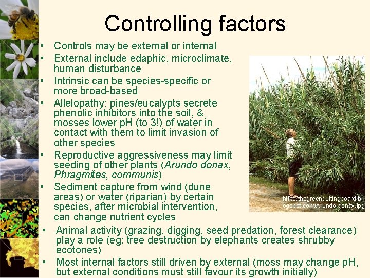 Controlling factors • Controls may be external or internal • External include edaphic, microclimate,
