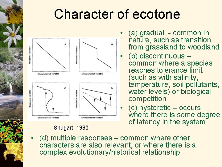 Character of ecotone Shugart, 1990 • (a) gradual - common in nature, such as