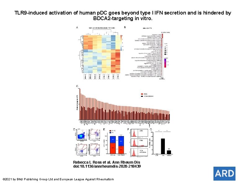 TLR 9 -induced activation of human p. DC goes beyond type I IFN secretion