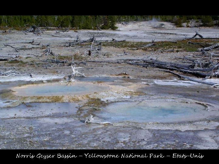 Norris Geyser Bassin – Yellowstone National Park – Etats-Unis 