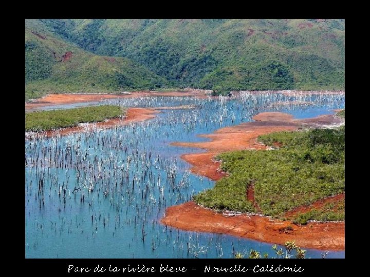 Parc de la rivière bleue - Nouvelle-Calédonie 