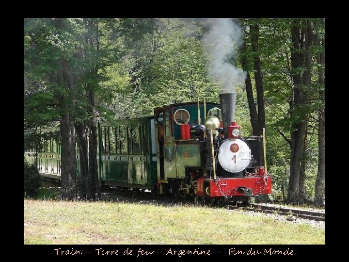 Train – Terre de feu – Argentine - Fin du Monde 