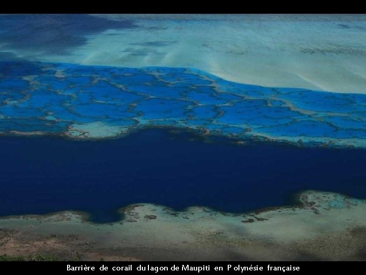 Barrière de corail du lagon de Maupiti en P olynésie française 