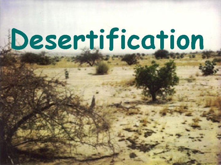Desertification 