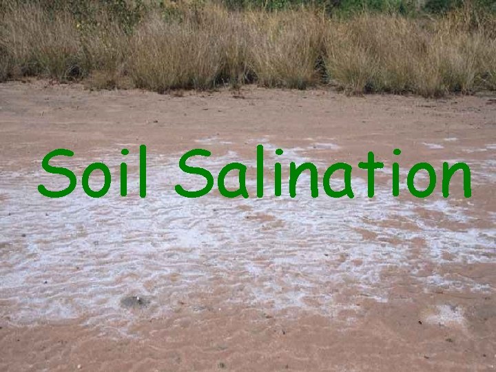 Soil Salination 