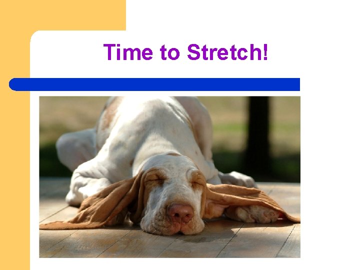 Time to Stretch! 