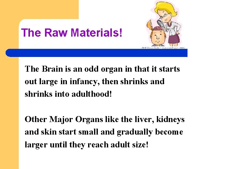 The Raw Materials! The Brain is an odd organ in that it starts out