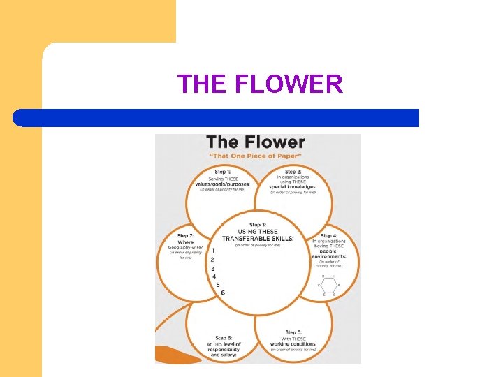 THE FLOWER 