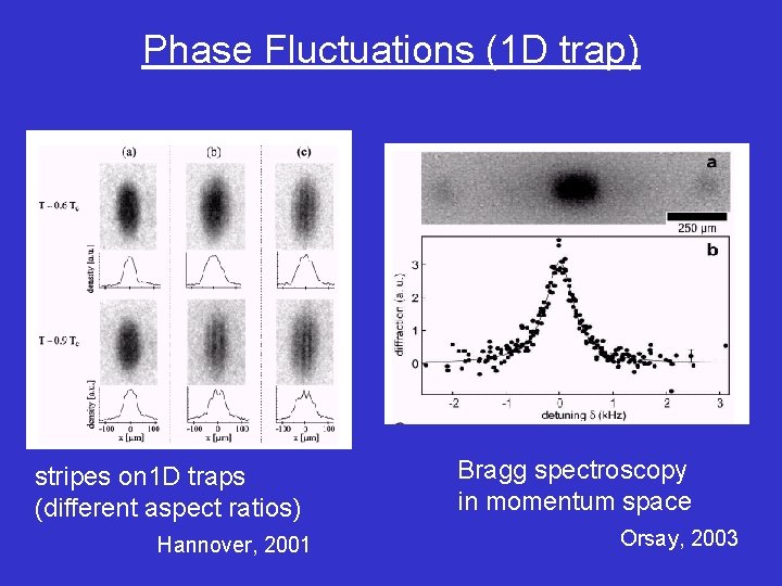 Phase Fluctuations (1 D trap) stripes on 1 D traps (different aspect ratios) Hannover,