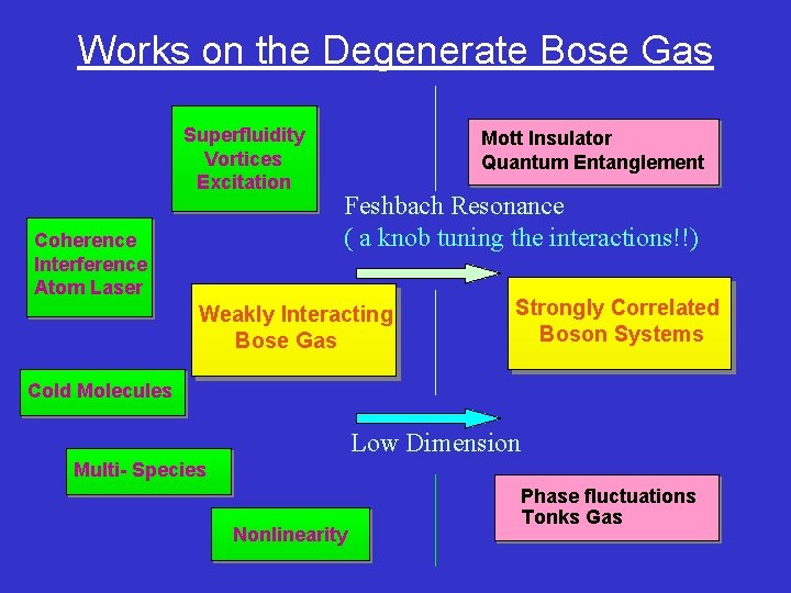 Works on the Degenerate Bose Gas Superfluidity Vortices Excitation Coherence Interference Atom Laser Mott