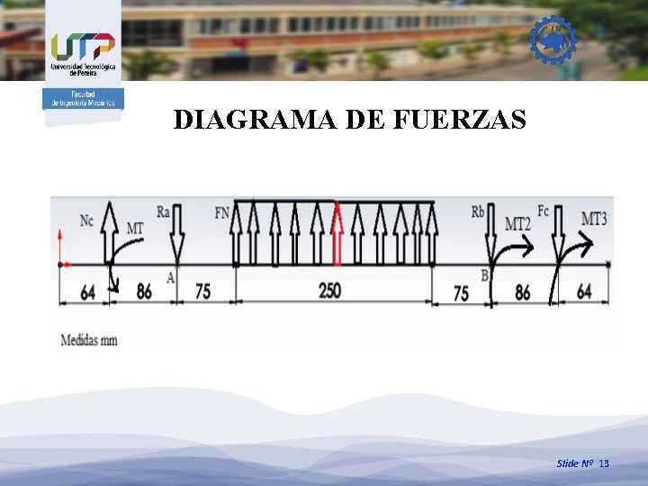 DIAGRAMA DE FUERZAS Slide Nº 13 