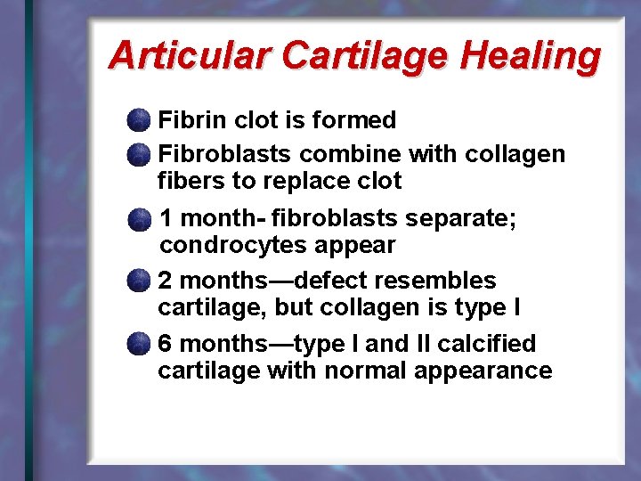 Articular Cartilage Healing Fibrin clot is formed Fibroblasts combine with collagen fibers to replace