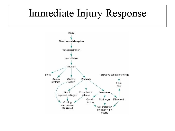 Immediate Injury Response 