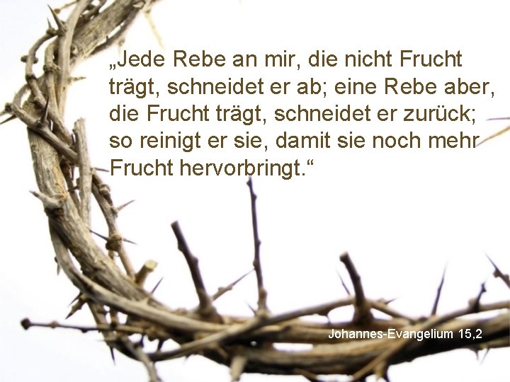 „Jede Rebe an mir, die nicht Frucht trägt, schneidet er ab; eine Rebe aber,