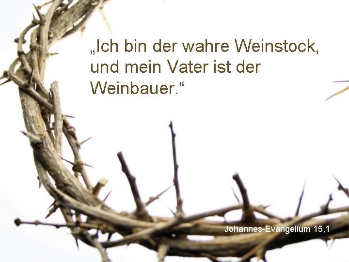 „Ich bin der wahre Weinstock, und mein Vater ist der Weinbauer. “ Johannes-Evangelium 15,