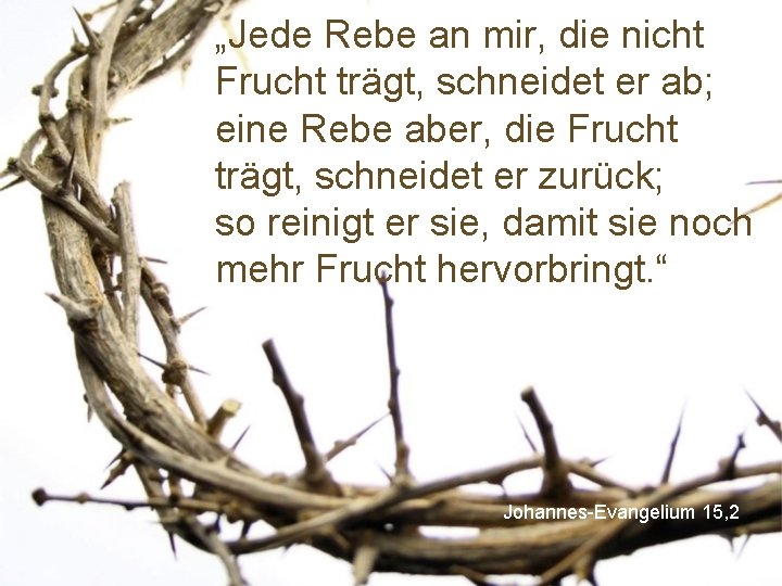 „Jede Rebe an mir, die nicht Frucht trägt, schneidet er ab; eine Rebe aber,