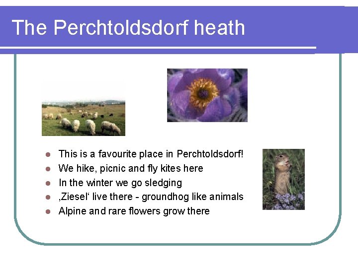 The Perchtoldsdorf heath l l l This is a favourite place in Perchtoldsdorf! We