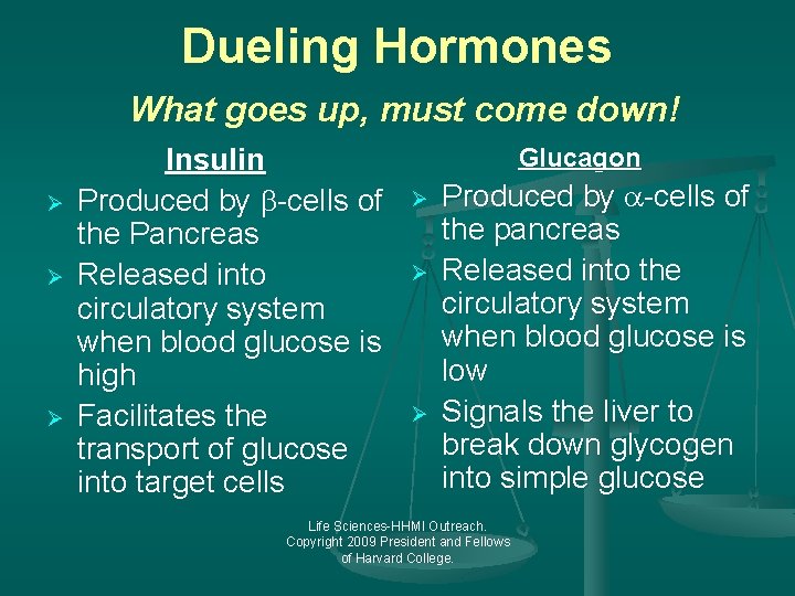 Dueling Hormones What goes up, must come down! Ø Ø Ø Insulin Produced by