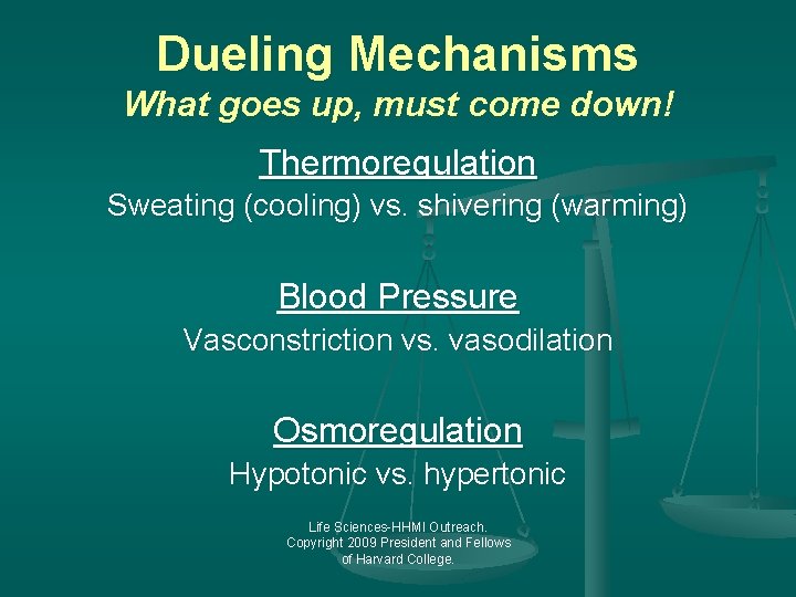 Dueling Mechanisms What goes up, must come down! Thermoregulation Sweating (cooling) vs. shivering (warming)