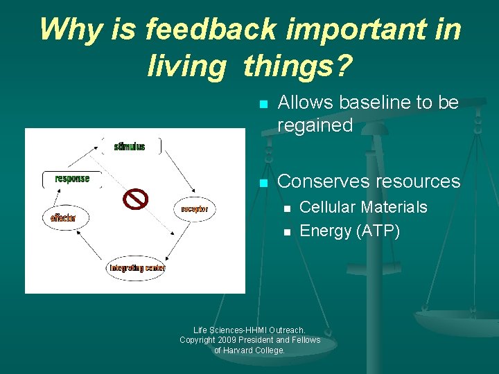 Why is feedback important in living things? n Allows baseline to be regained n
