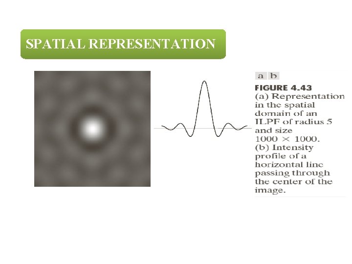 SPATIAL REPRESENTATION 