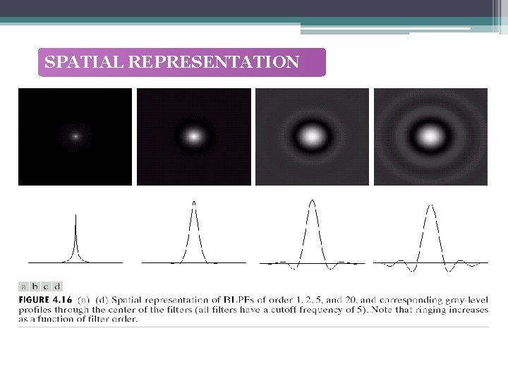 SPATIAL REPRESENTATION 