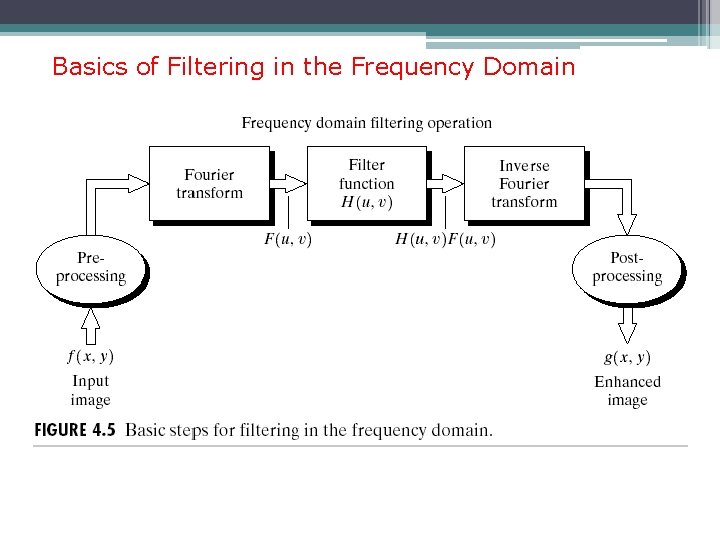 Basics of Filtering in the Frequency Domain 