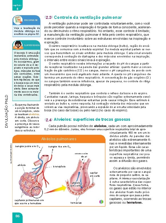 capítulo 4 2. 3 Controle da ventilação pulmonar RECORDE-SE A ventilação pulmonar pode ser