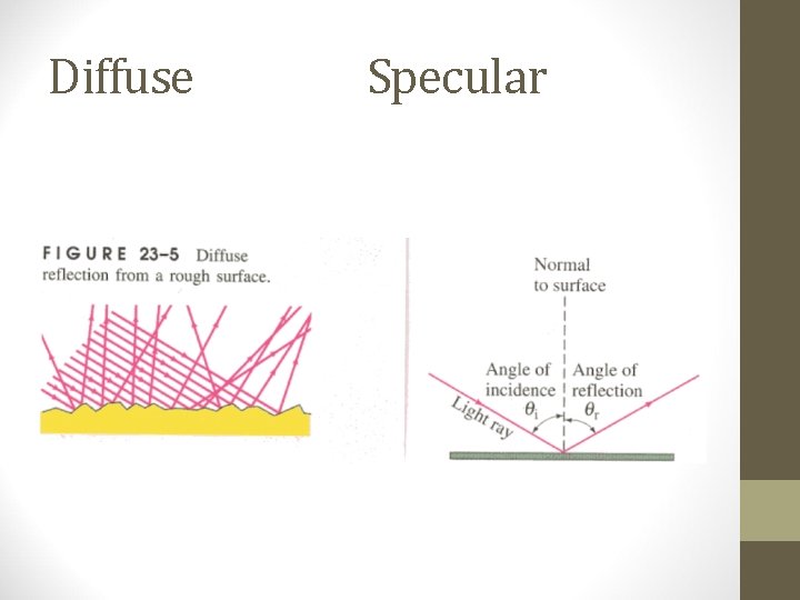 Diffuse Specular 