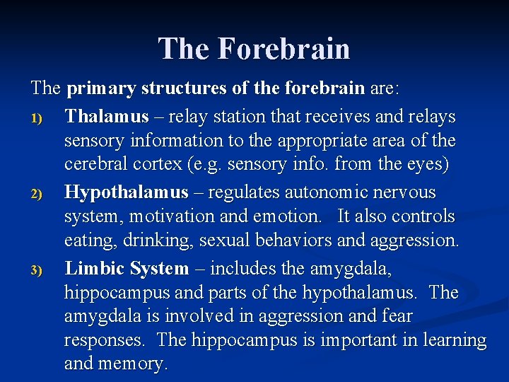 The Forebrain The primary structures of the forebrain are: 1) Thalamus – relay station